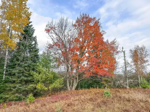 Wooded Corner Recreation Land