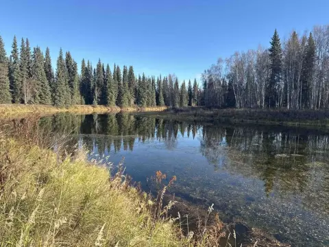 Fairbanks Waterfront Land Parcel