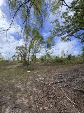 Hephzibah Land Opportunity