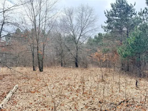 Wooded Land Near Stower Trail
