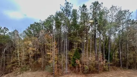 Guntown, MS Acreage For Sale