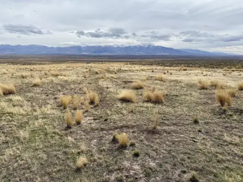 Land in Spring Creek, NV