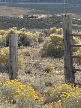 Spring Creek Land with Views