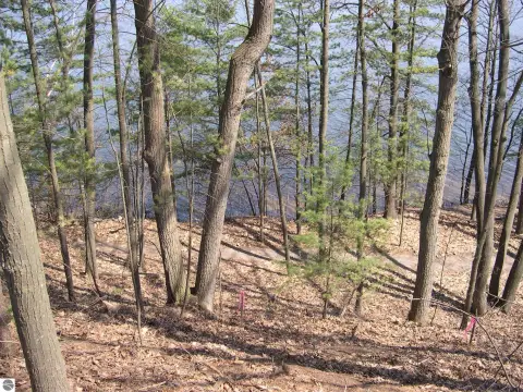 Boardman Lake Waterfront Land