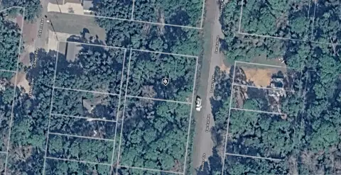 Residential Lot in Perdido Key