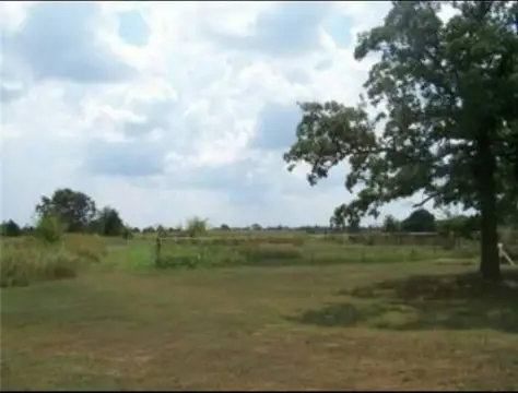Land with Spring-Fed Ponds
