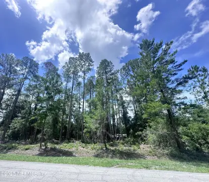 Georgetown, FL Buildable Lot