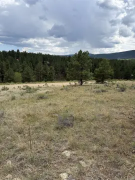 Ready-to-Build Homesite Land