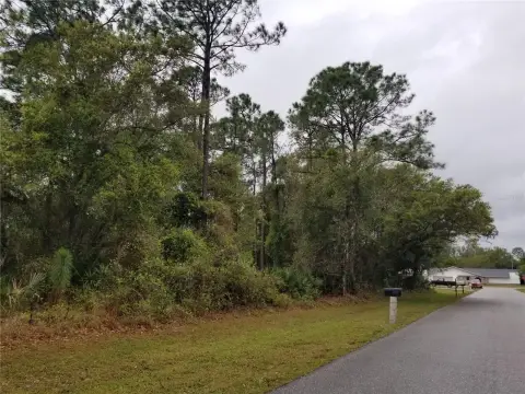Two Buildable Lots in Charlotte