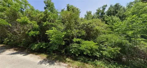 Residential Land Near The Villages