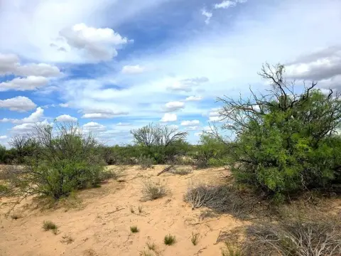 40-Acre Texas Land Tract