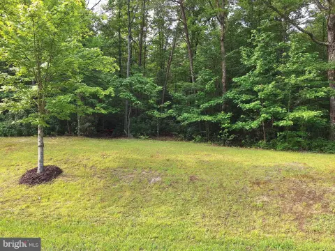 11+ Acre Homesite in Brandywine