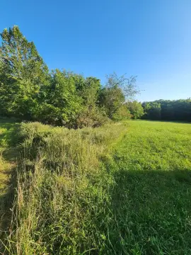 155 Acre Farm in Polo, MO