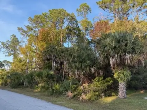Oversized Lots in Palm Coast