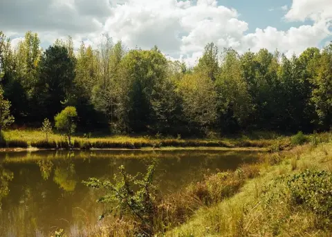 45 Acres Pasture Ground in Batesville