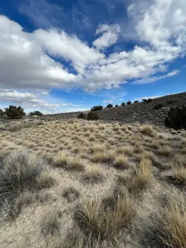 Land in Spring Creek, NV
