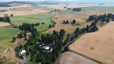 Timothy Hay Farmland