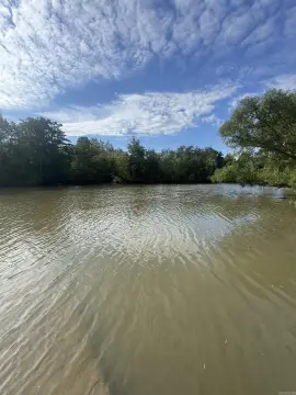 Delta Bottomland Hardwood Timber Acreage