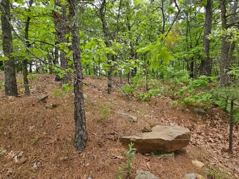 Talihina Vacant Land on Mountain