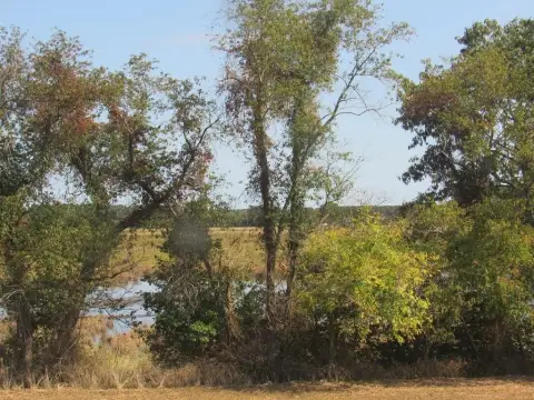 Waterfront Lot on Pitts Creek