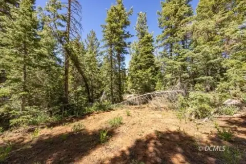 Residential Mountain Lot