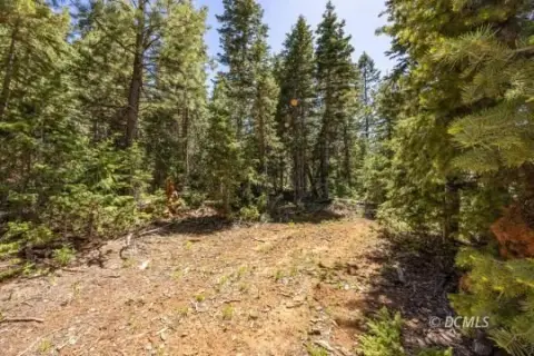 Residential Mountain Home Lot