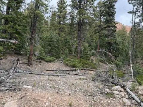 Residential Lot in Duck Creek