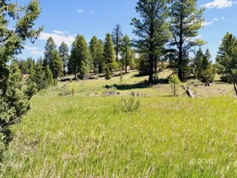 Flat Meadow Land Parcel