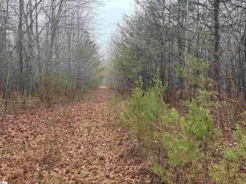 Landrum Acreage with Development Potential