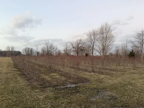 9.9 Acres of Opportunity