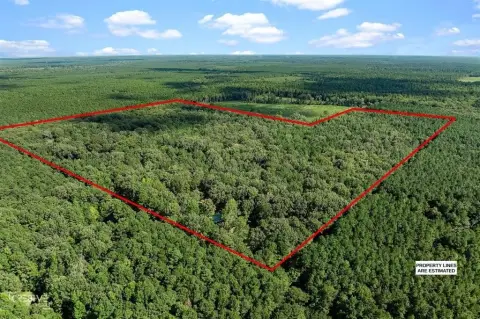70 Acres of Timber Land