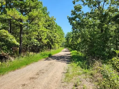 Land Near Ouachita National Forest