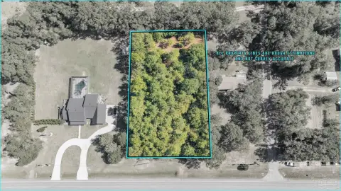 Wooded Agricultural Land Parcel