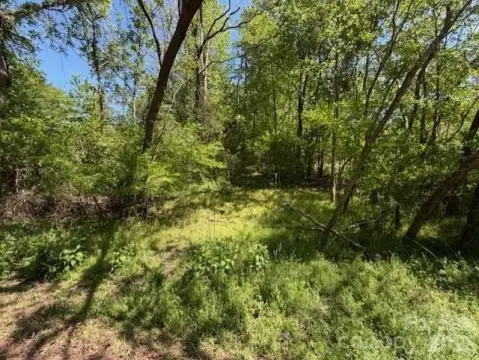 Heavily Wooded Blackstock Parcel