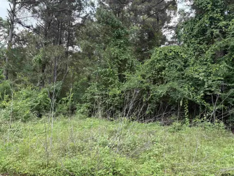 Vacant Lot with Lake Access