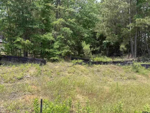 Residential Lot in Tyler, TX