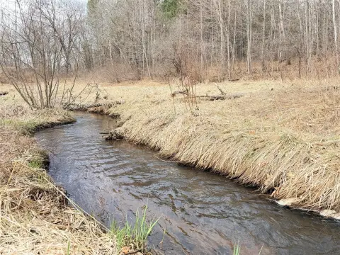 Wooded Land Near Trout Creek