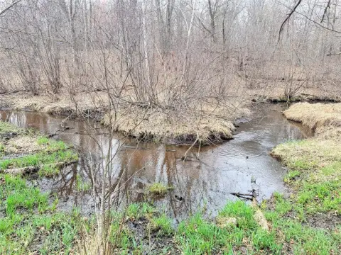 Wooded Land Near Trout Creek