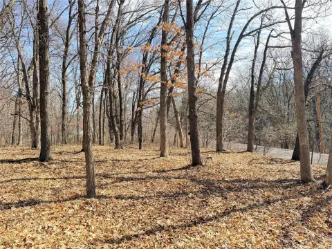 Wooded Acreage Near State Trail