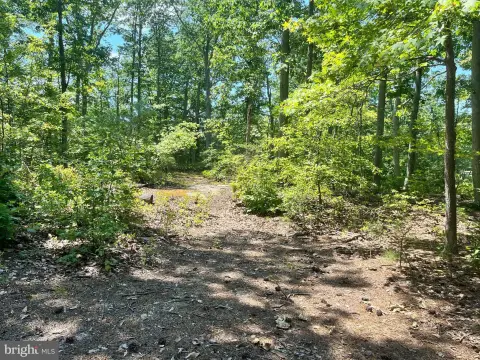 Adjoining Waterfront Beach Lots