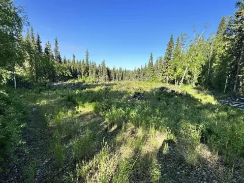 Fairbanks Land in Vue Crest
