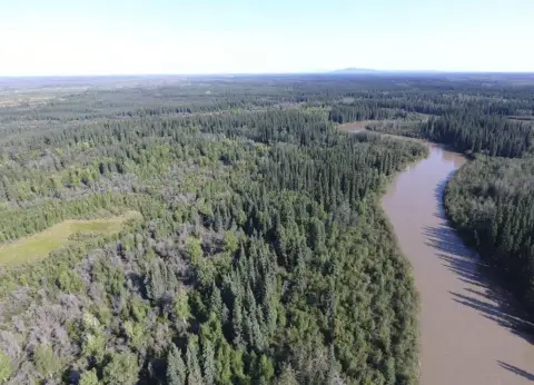 Teklanika Riverfront Land Parcel