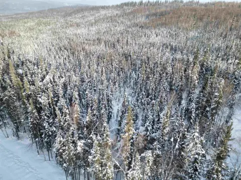 Fairbanks Residential Land Opportunity