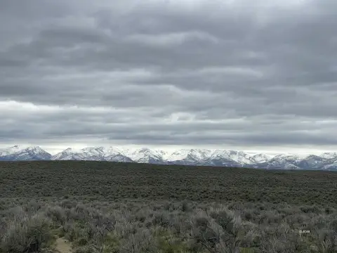 Spring Creek Land with Mountain Views