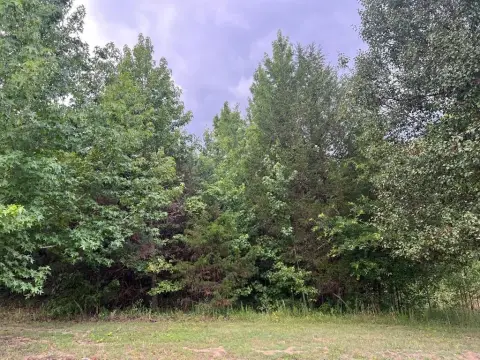 Wooded Residential Land Tract
