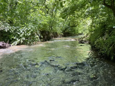 Wooded Land with Creek Frontage