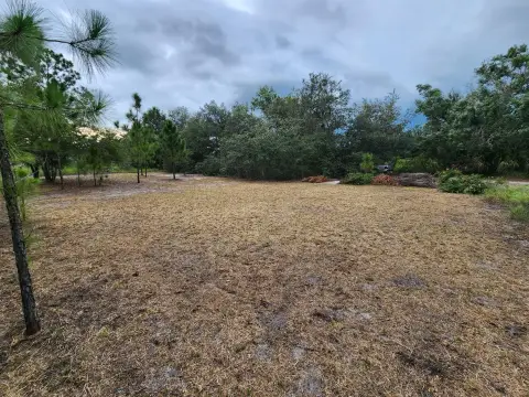Cleared Lot in Avon Park