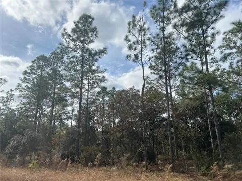 Williston, FL Building Lot