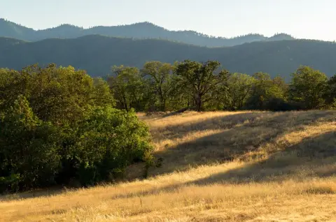 85-Acre Land Parcel with Rogue Valley Views