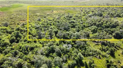 Punta Gorda 5-Acre Land Parcel